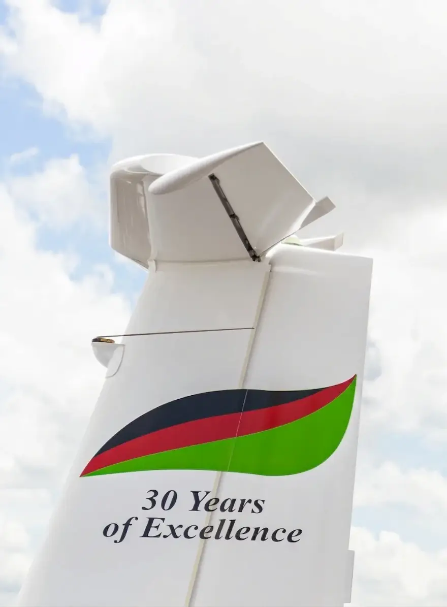 Aircraft's tail with Cirrus' logo and 30 years of excellence written on it