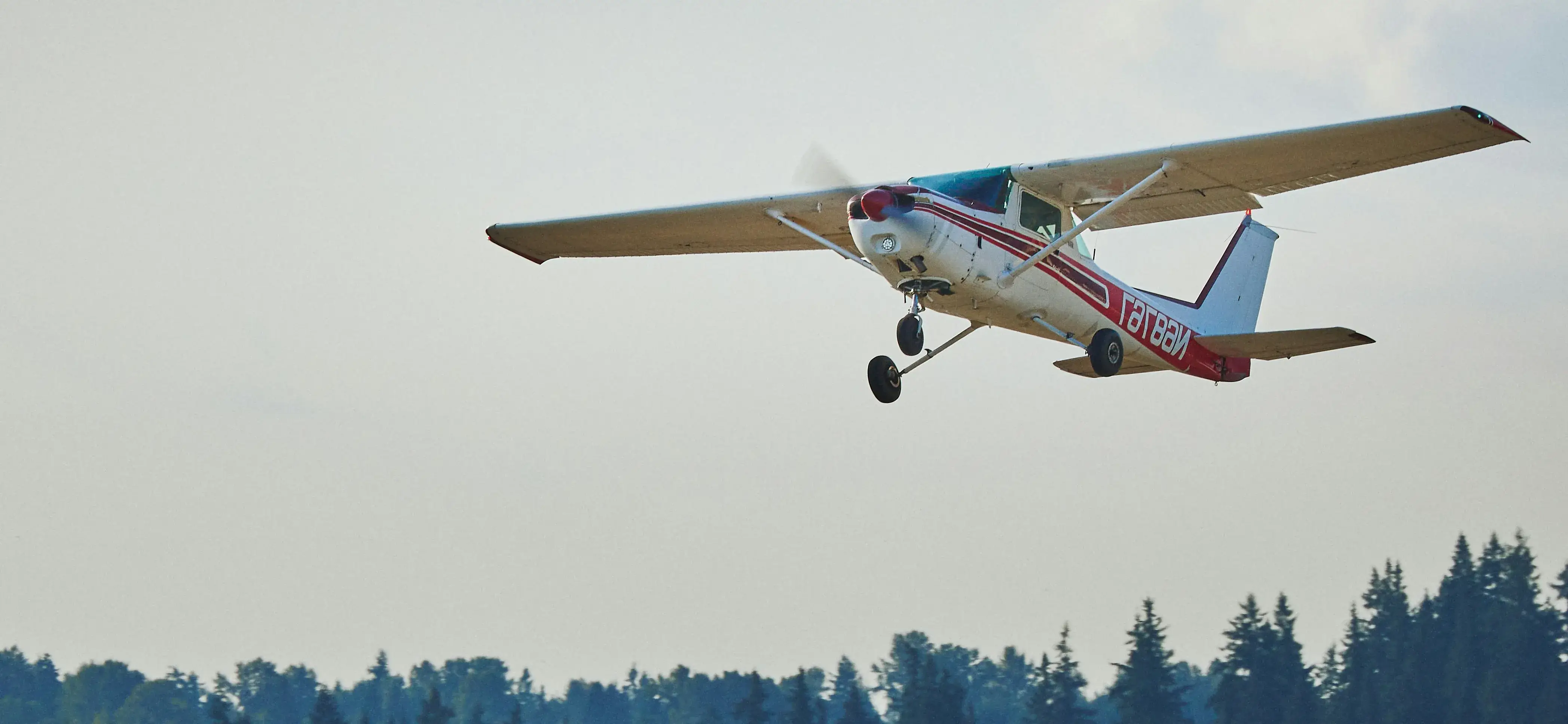Airplane taking off with trees in the background